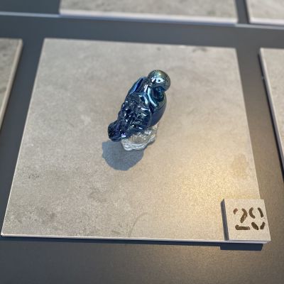 Ylva C Holm&eacute;n