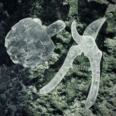 Jag skördar! 2025, Sylvia Neiglick  Sekatör av ugnsgjuten helkristall och patinerad mässing