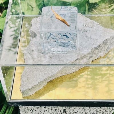 Jeanette Karsten ” Joy of life” , with golden leaf’ Fågeln kommer med den lilla kvisten som gåva som symbol för hopp, fred, lycka, glädje och vänskap. Symbol ovansida- Material: Gjutet glas, håndmåleri, gravyr, metall Podie: oregelbunden kalksten från Burgsvik på Gotland Mått: ca 20 cm x 10 cm. Höjd 2 cm. Teknik: Hyttformat glas med handgraverat m. färg.  Signerad Jeanette karsten unik