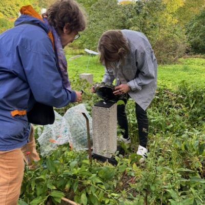 Nature Bridge uppbyggnad
